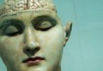 Brain