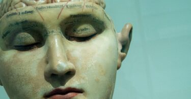 Brain